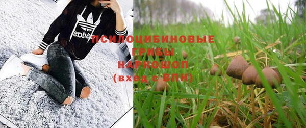 экстази Мегион