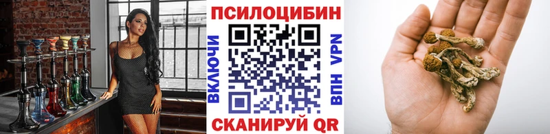 Галлюциногенные грибы мицелий Купить Электроугли